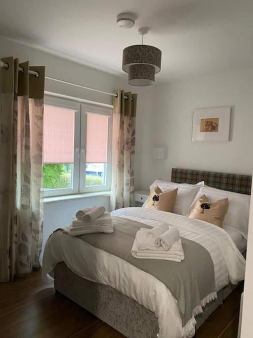 Location, Location - Modern 2 Bed Apt In Killarney Eksteriør billede